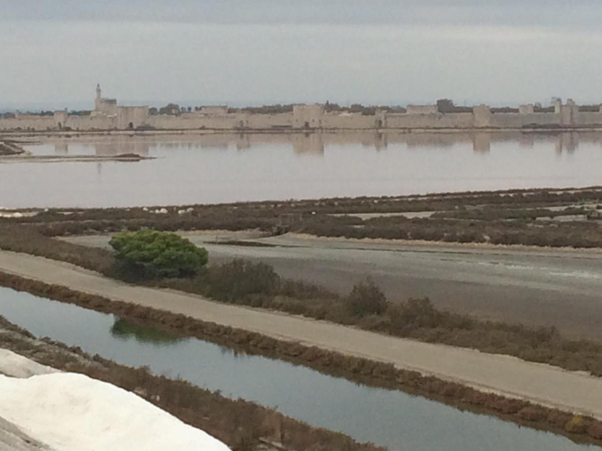 Maison Au Calme Avec Parking En Petite Camargue 博瓦桑 外观 照片